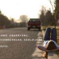 2017彩图生肖图